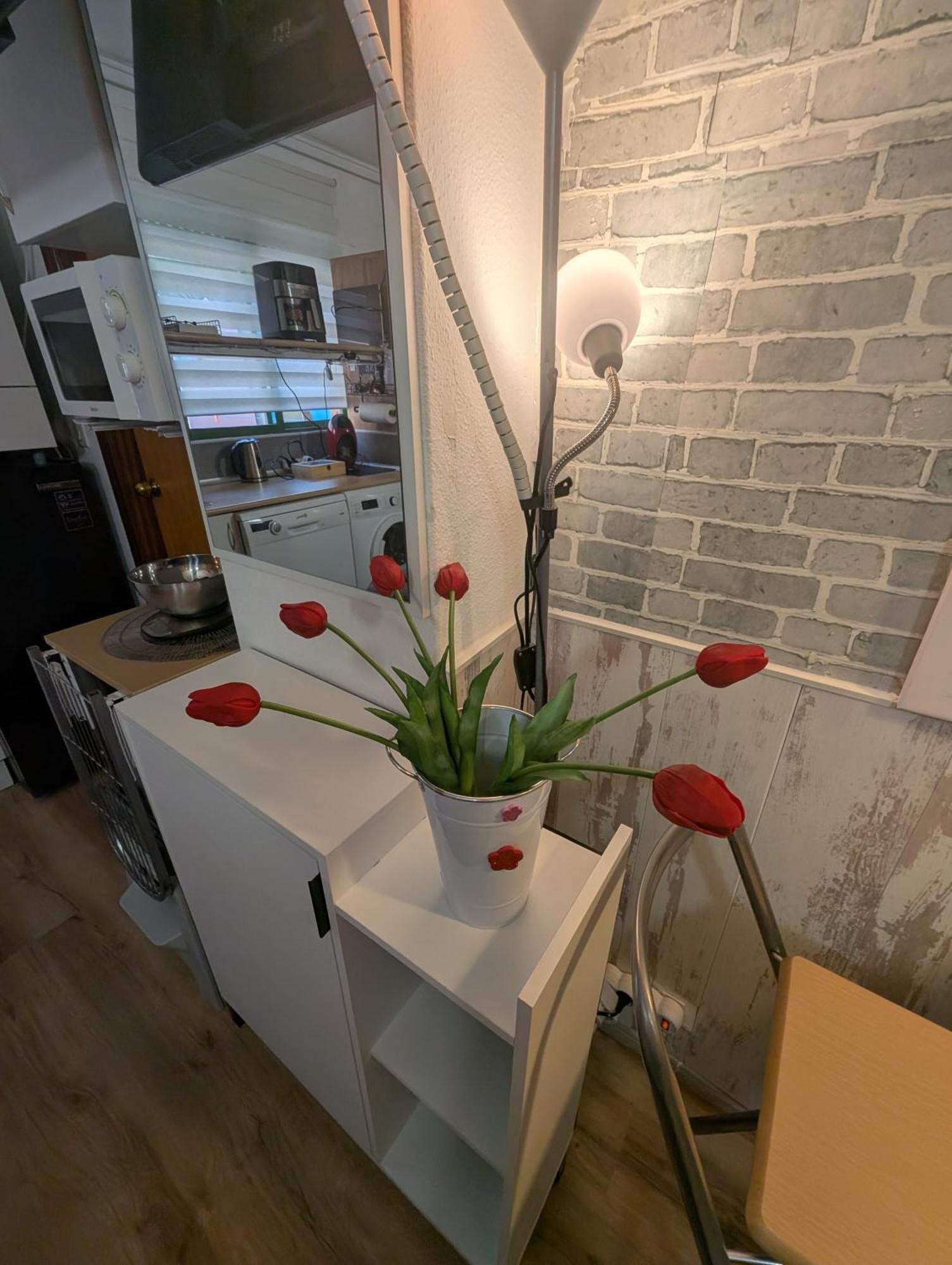 Alicante Postiguet Studios المظهر الخارجي الصورة