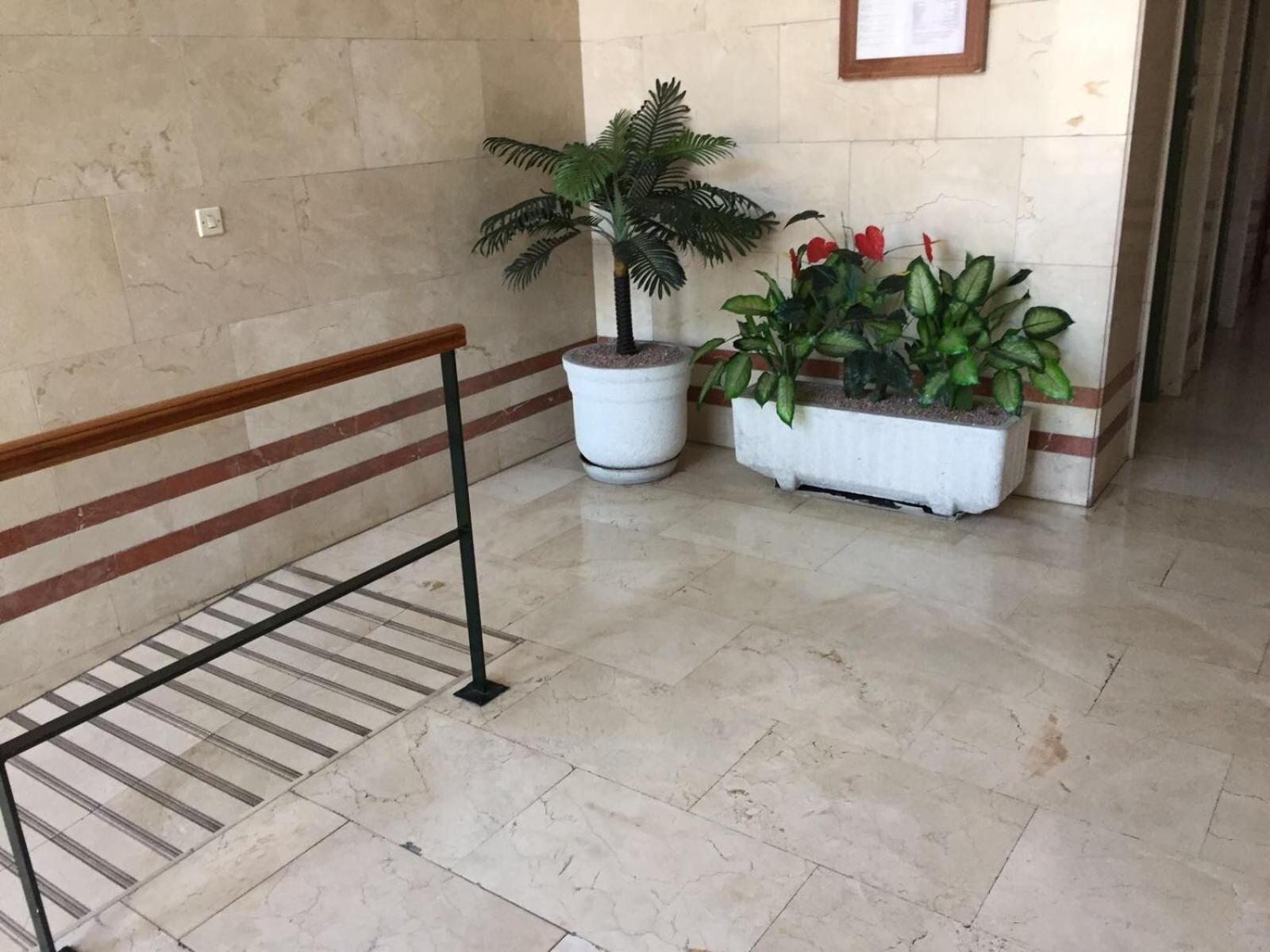 Alicante Postiguet Studios المظهر الخارجي الصورة
